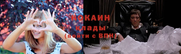 бошки Богородицк