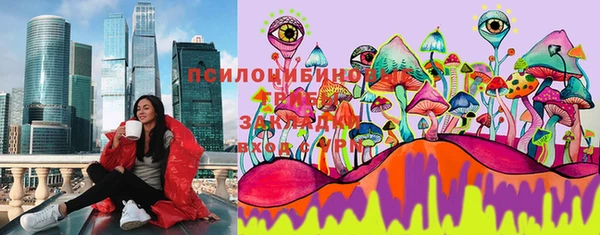 бошки Богородицк