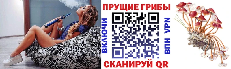 Галлюциногенные грибы прущие грибы  blacksprut ссылки  даркнет наркотические препараты  цены   Коркино 