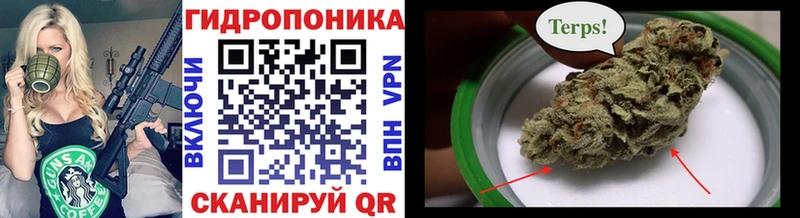 Каннабис гибрид  Коркино 